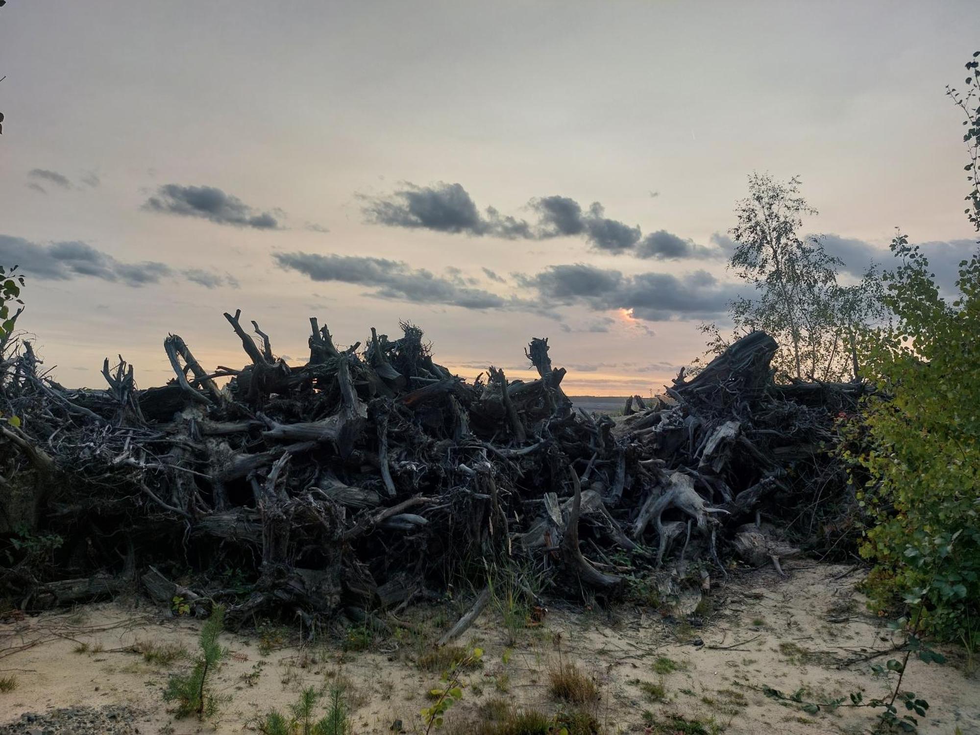 Ferienwohnung Gnubbel Am Wald ไวส์วาสเซอร์ ภายนอก รูปภาพ